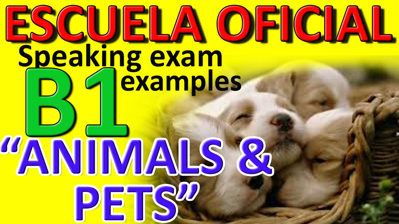 Exámenes Escuela Oficial de Idiomas EOI 2010 pets